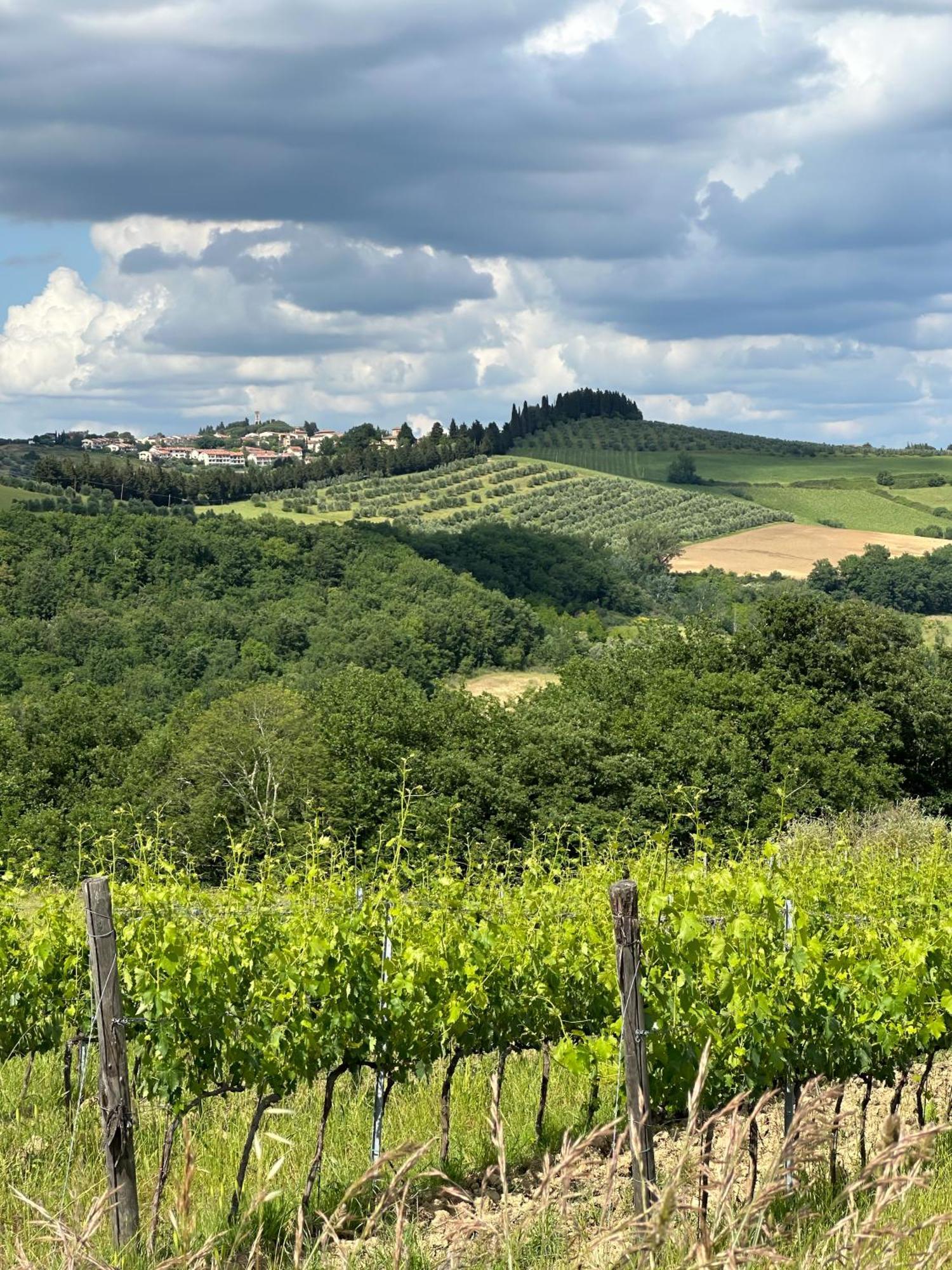 Agriturismo Fattoria Sant'Appiano Barberino di Val dʼElsa Exterior foto